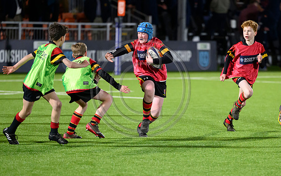 Edinburgh v Cell C Sharks