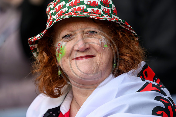 Scotlandv Wales