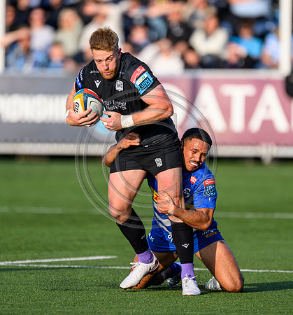 Warriors v Stomers