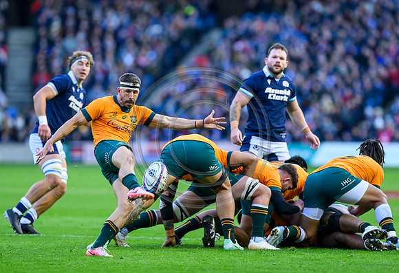 Scotland v Australia