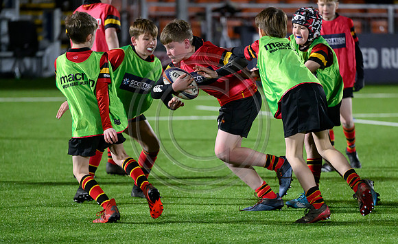 Edinburgh v Cell C Sharks