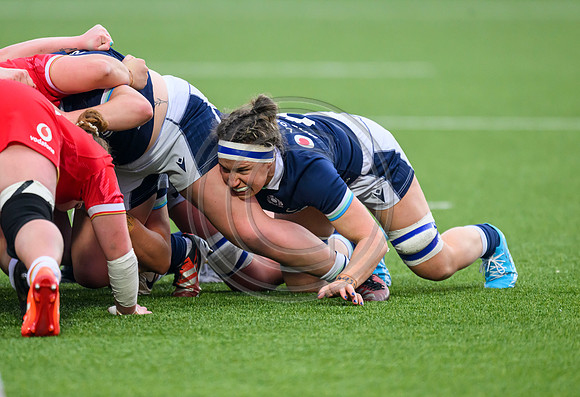 Scotland Women v Wales