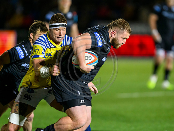 Warriors v Zebre