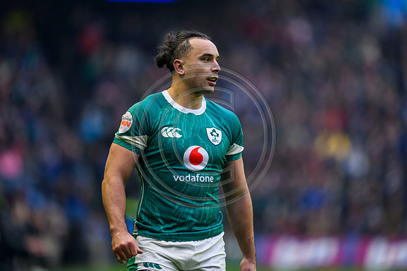 Scotland v ireland