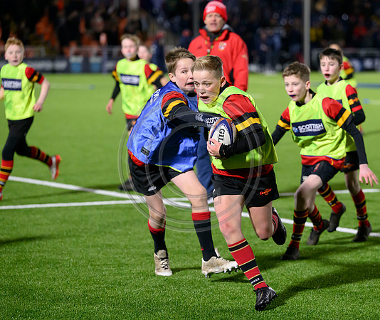 Edinburgh v Cell C Sharks