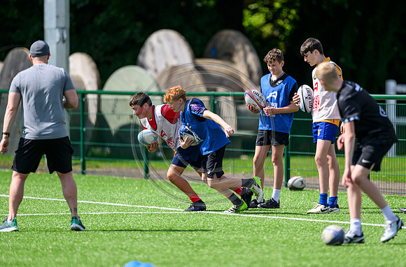 Accelerate Rugby