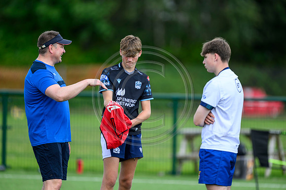 Accelerate Rugby