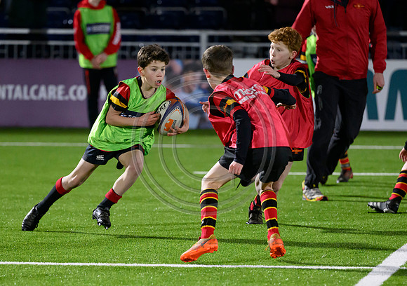Edinburgh v Cell C Sharks