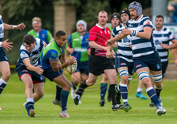 Boroughmuir Bears v Heriots Rugby