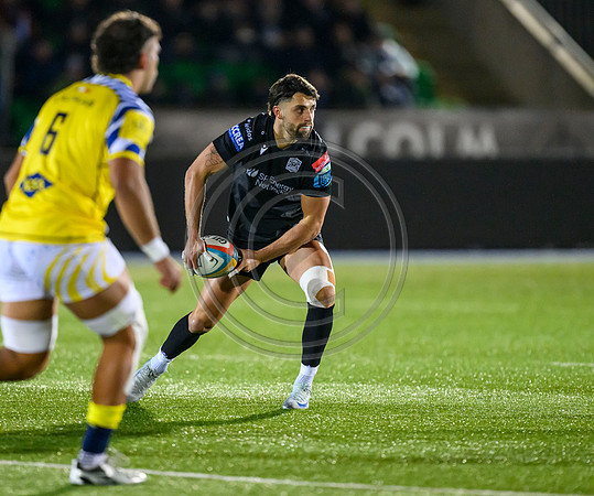 Warriors v Zebre