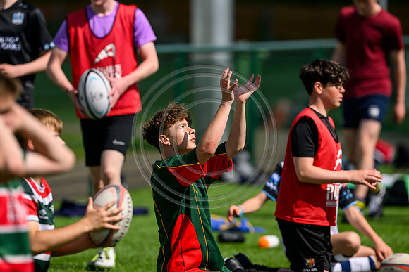 Accelerate Rugby