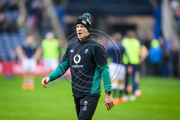 Scotland v ireland