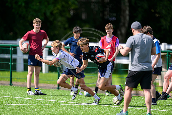 Accelerate Rugby