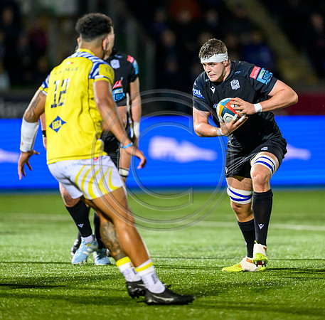 Warriors v Zebre
