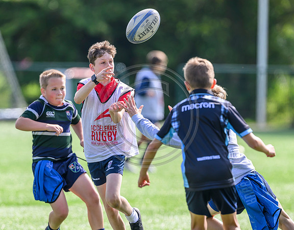 Accelerate Rugby