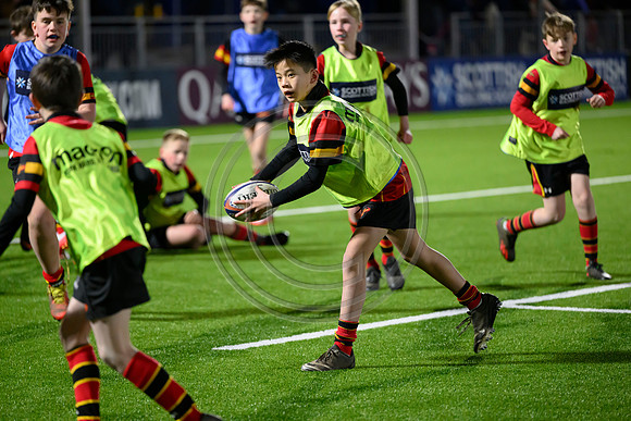 Edinburgh v Cell C Sharks