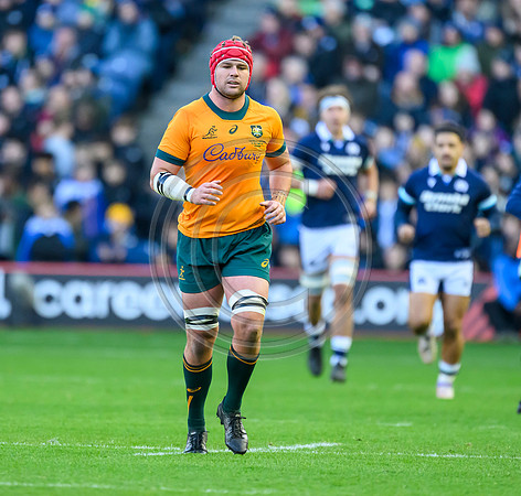 Scotland v Australia