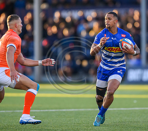 Warriors v Zebre