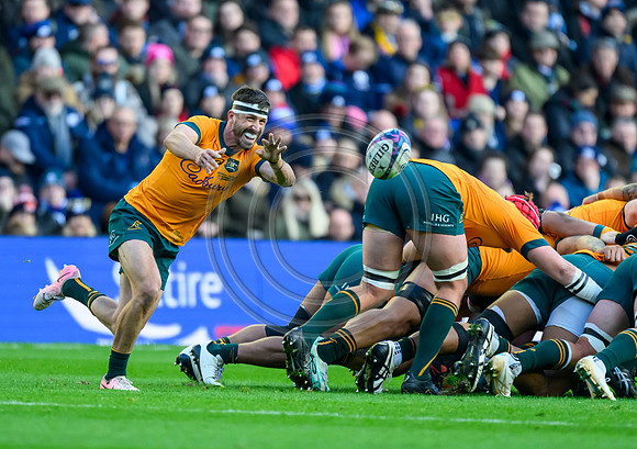 Scotland v Australia