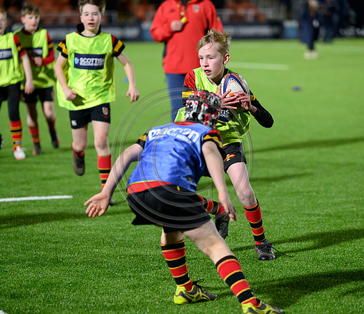 Edinburgh v Cell C Sharks
