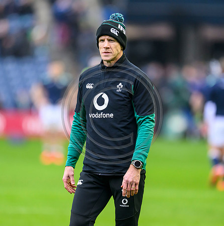 Scotland v ireland