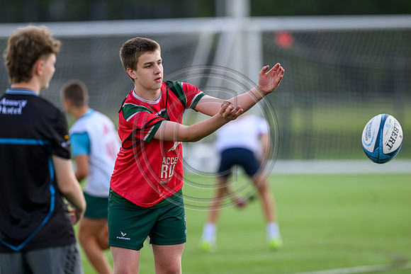 Accelerate Rugby
