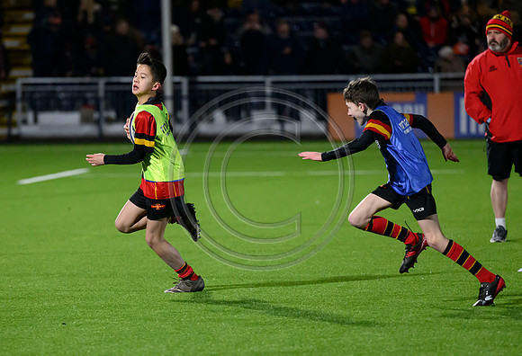 Edinburgh v Cell C Sharks