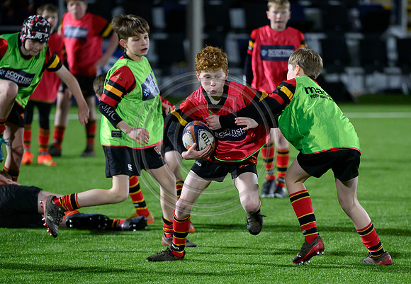 Edinburgh v Cell C Sharks