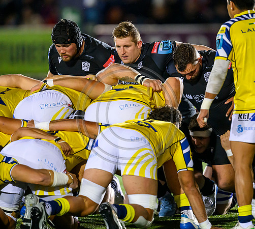 Warriors v Zebre