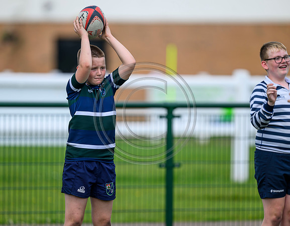 Accelerate Rugby