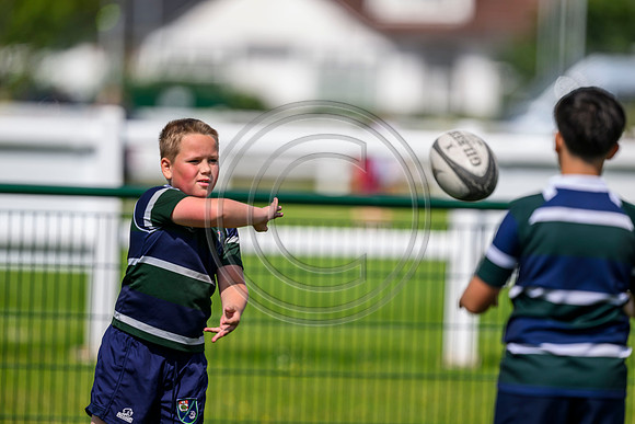 Accelerate Rugby