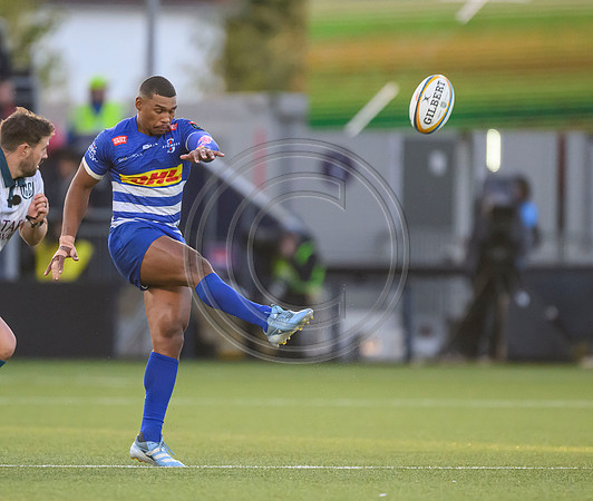 Warriors v Zebre