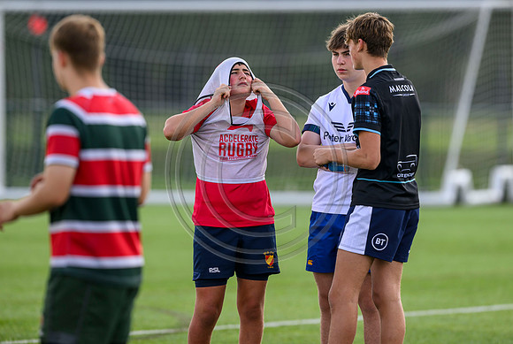 Accelerate Rugby