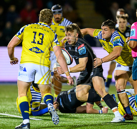 Warriors v Zebre