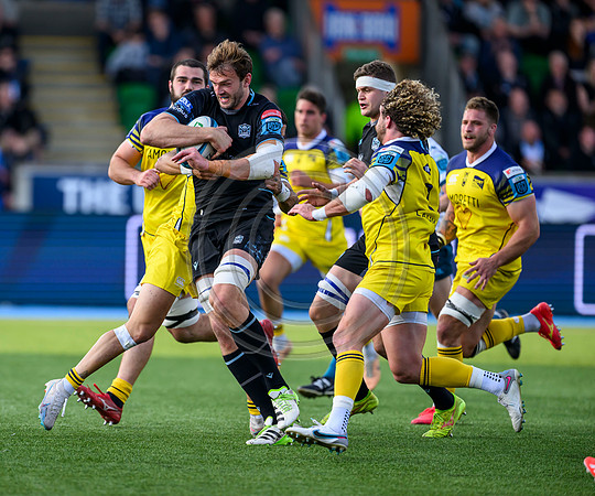 Warriors v Zebre