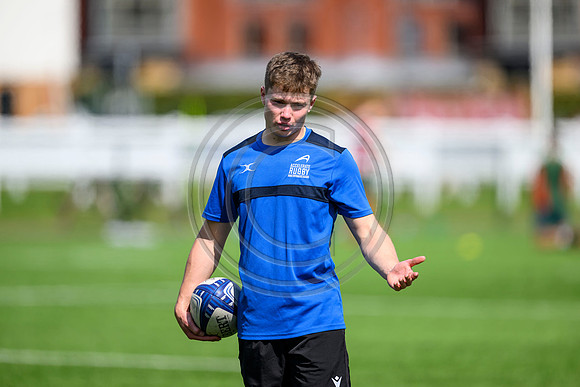Accelerate Rugby