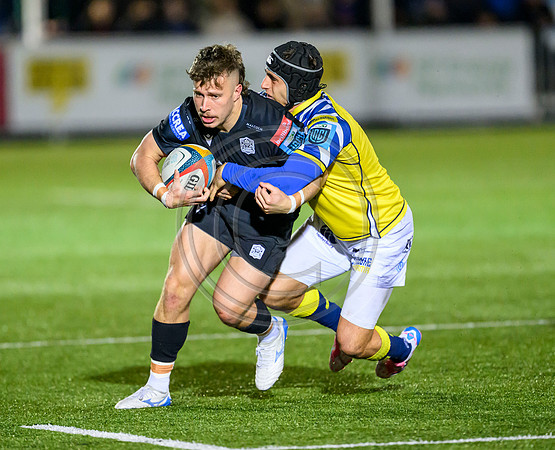 Warriors v Zebre
