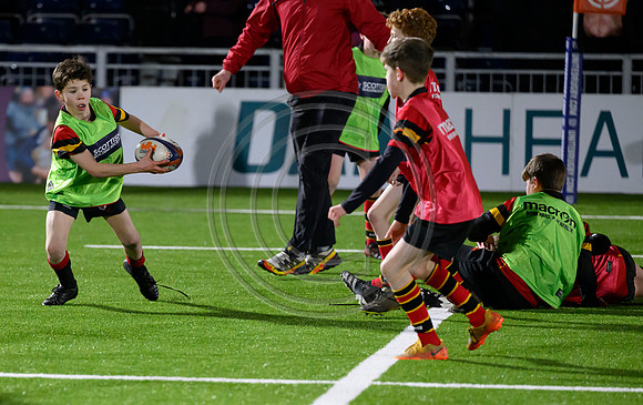 Edinburgh v Cell C Sharks