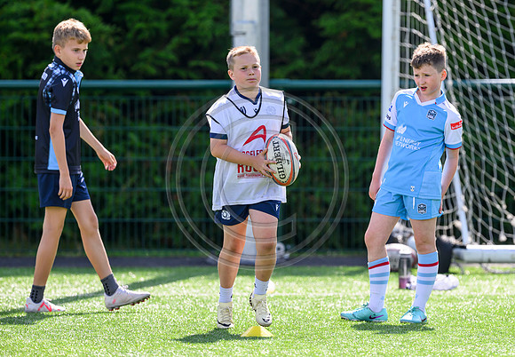 Accelerate Rugby
