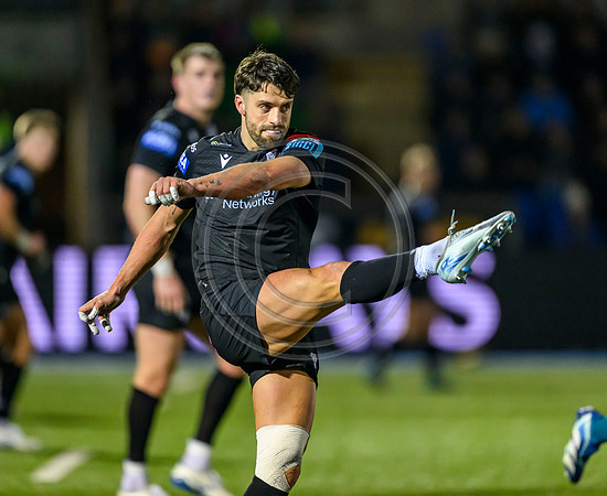 Warriors v Zebre