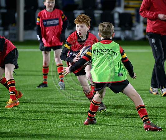 Edinburgh v Cell C Sharks
