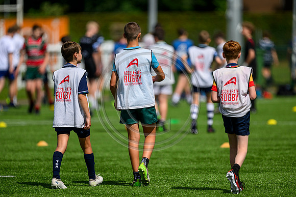 Accelerate Rugby