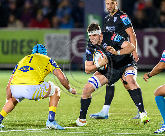 Warriors v Zebre