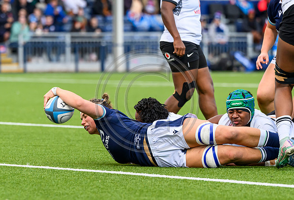 Scotland v Fiji