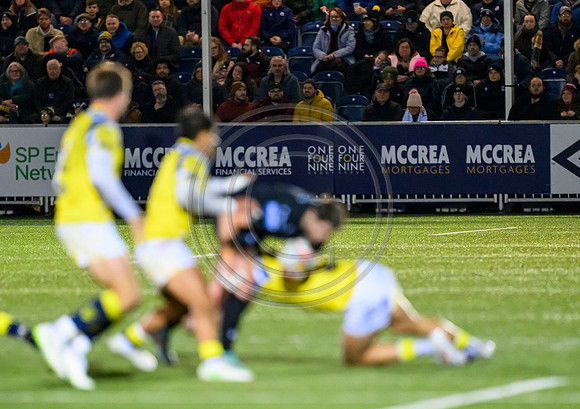Warriors v Zebre