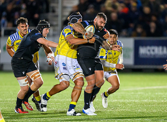 Warriors v Zebre