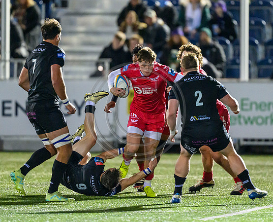 Warriors v Scarlets