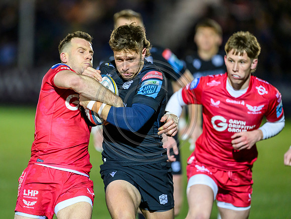 Warriors v Scarlets