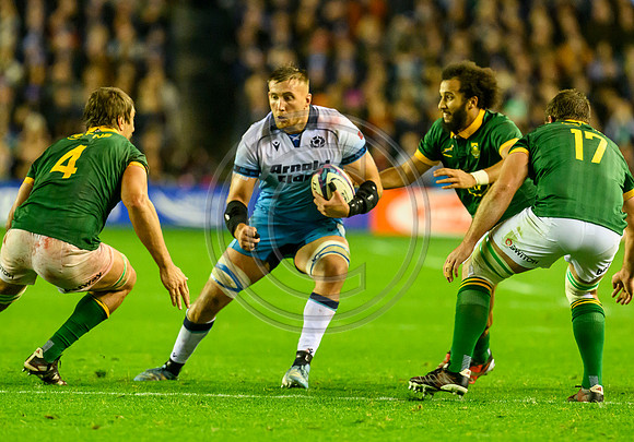 Scotland v South Africa