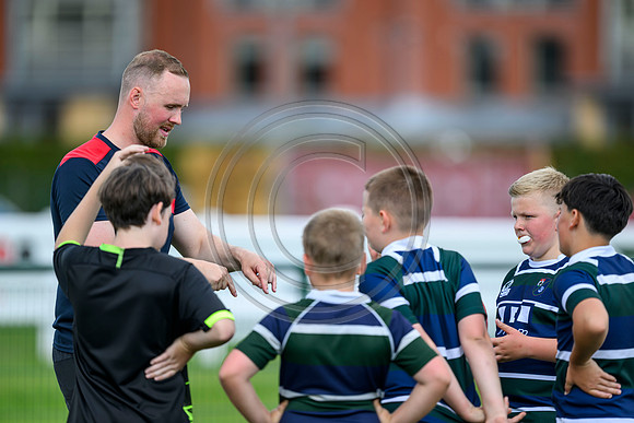 Accelerate Rugby